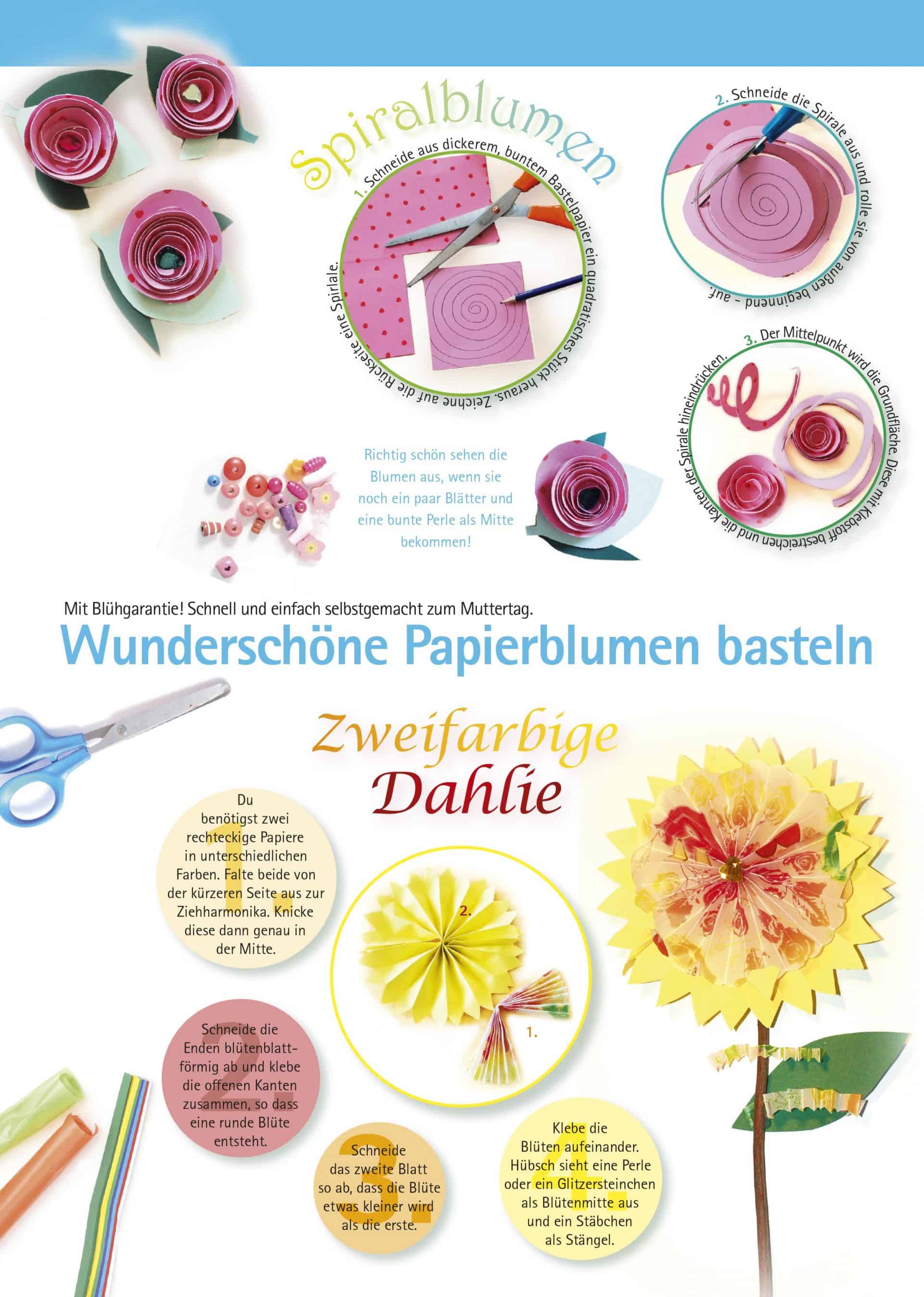  Das Familienmagazin Illustration 