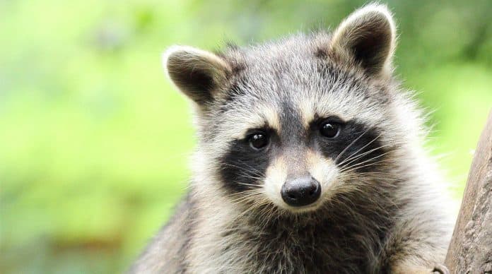 Hits für Kids in der Fränkischen Schweiz