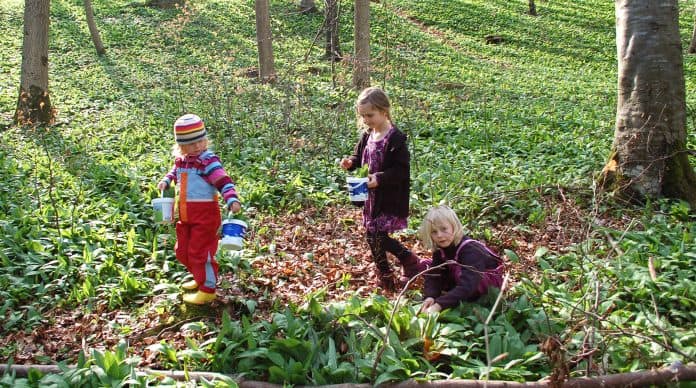 Frühling – du schmeckst so gut!