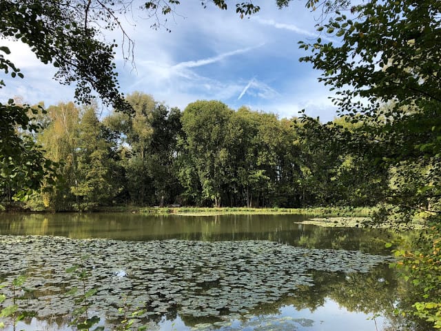 Schwanenweiher