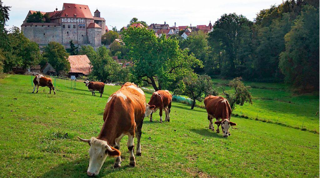 Geschichte & Natur entdecken: KulturWanderweg Hohenzollern