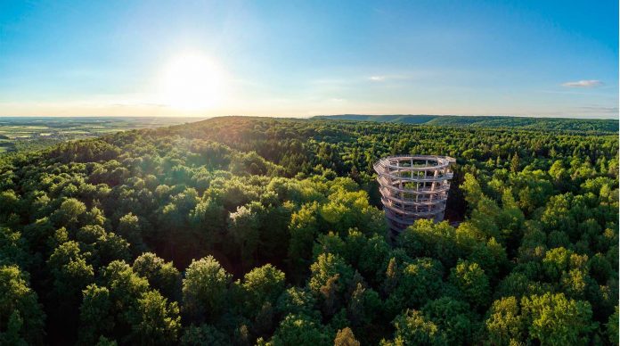 Steigerwald-Zentrum & Baumwipfelpfad