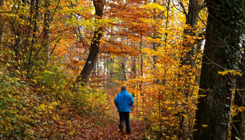 Von Weigendorf zum Alten Fritz - Herbstliche Familienwanderung