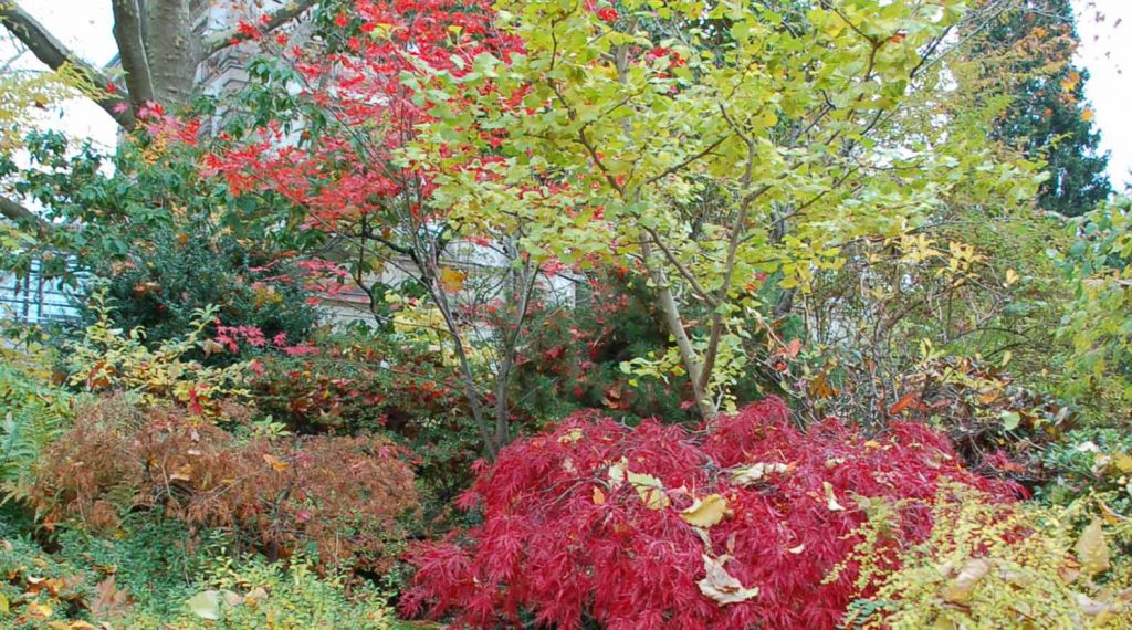 Gartenprofis am Werk