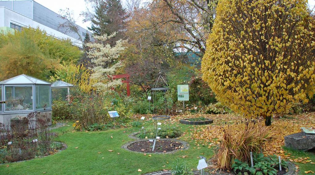 Botanische Beschriftung