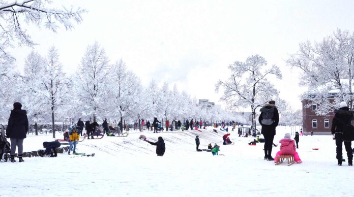 Rodeln und Schlittenfahren in und um Nürnberg