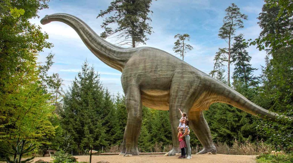 Dinosaurier Museum Altmühltal