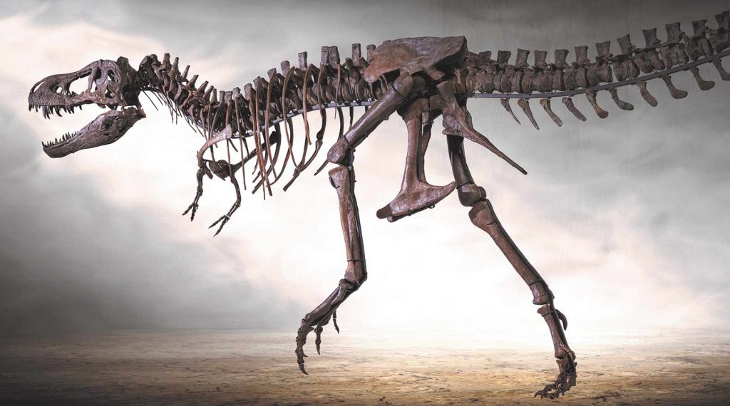 Dinosaurier Museum Altmühltal