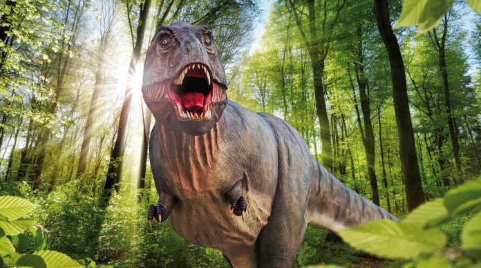 Dinosaurier Museum Altmühltal