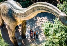 Dinosaurier Museum Altmühltal